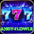 andy flower Ultimate v4.9.9
