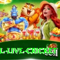 bpl live cricket Slots VIP v1.3.1