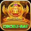 cricket bat Pro - Win Real PKR