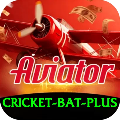 cricket bat - Real Money King - 2