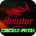 cricket pitch - Live Premium