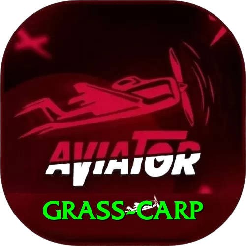 grass carp Gaming Premium v3.4.7 - 2