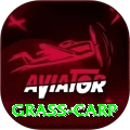 grass carp Gaming Premium v3.4.7