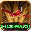 india test match Official v4.2.1
