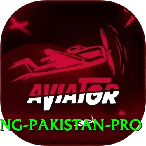IPL Betting Pakistan Live Casino Pro - 2