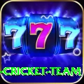 ireland cricket team Official v5.4.0