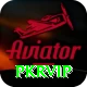 pkrvip Apps (Tools & Injectors) VIP v1.6.6