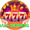 powerball numbers Mega Casino App