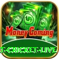 smart cricket live - Real Money Royal