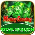 steve waugh Ultimate PK v5.2.9