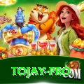 tojay APK Royal v5.7.4