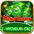 under 19 cricket world cup Game Champion v3.8.5
