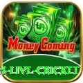 watch live cricket - Casino Turbo